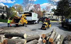 Best Tree Risk Assessment  in South Blooming Grove, NY