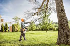 Best Grass Overseeding  in South Blooming Grove, NY