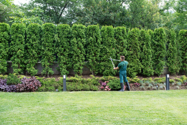 Best Weed Control  in South Blooming Grove, NY