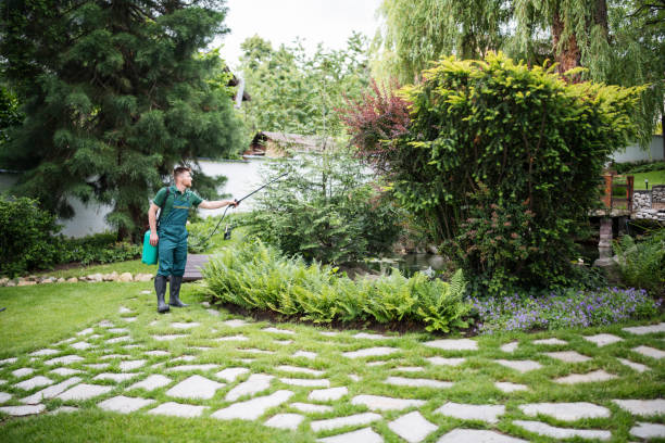 Best Landscape Design and Installation  in South Blooming Grove, NY